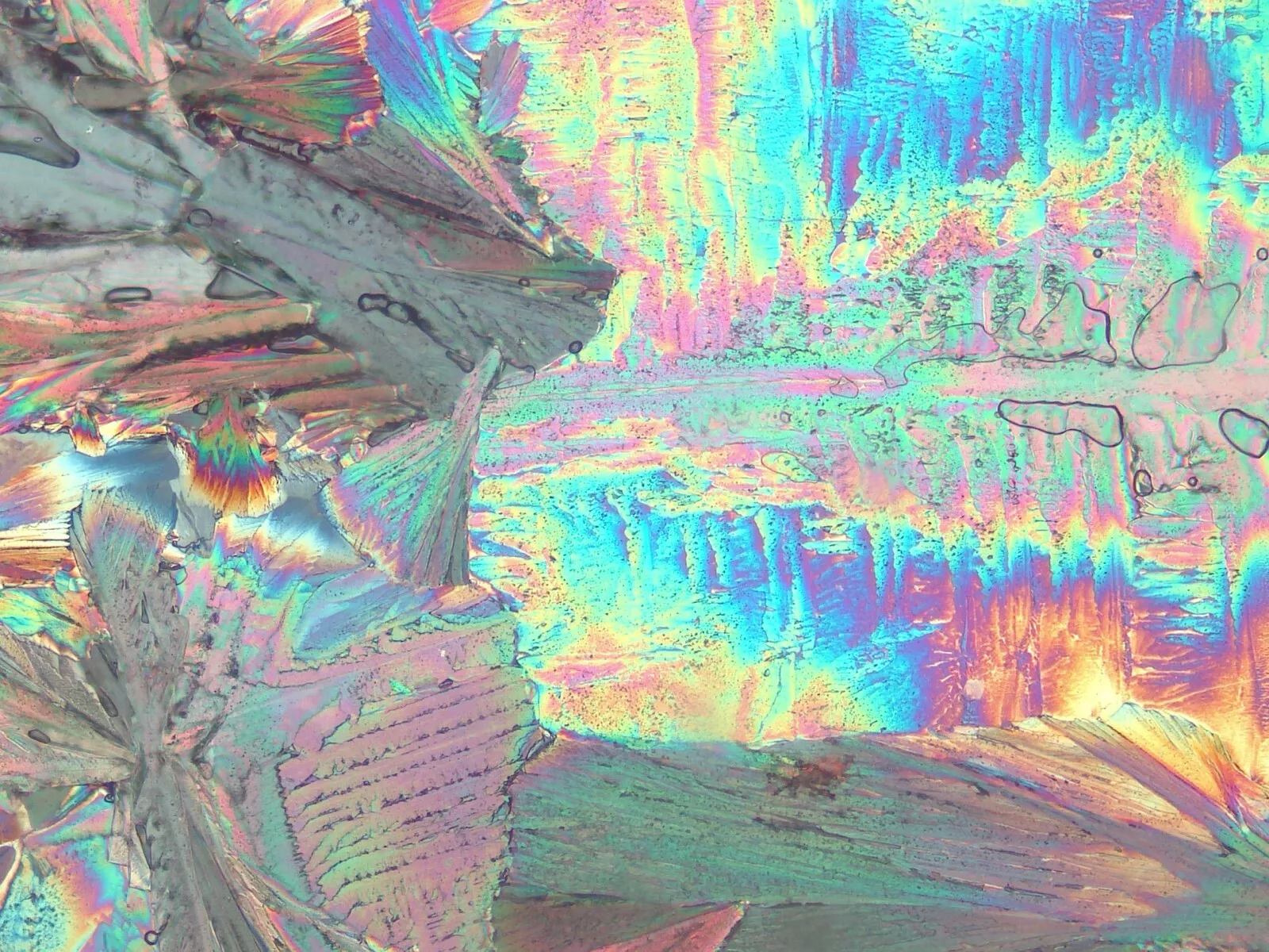 Thumbnail 13